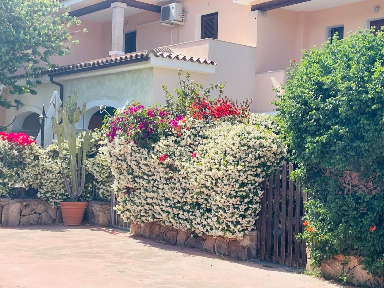 Appartamento Le Querce Vaccileddi Ngoại thất bức ảnh
